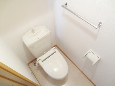 Toilet. Toilet with cleanliness