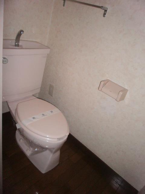 Toilet. Toilet (same type)