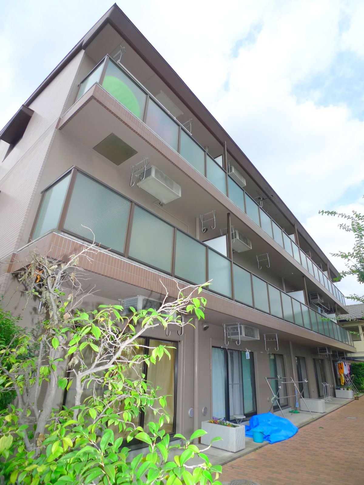 Building appearance. Sunny