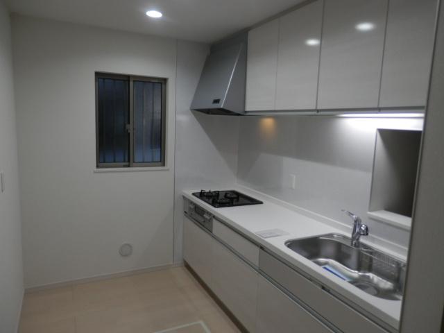 Kitchen. Local (11 May 2013) Shooting