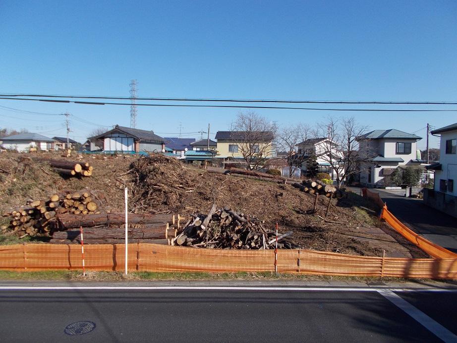 Local land photo. Local (12 May 2013) Shooting