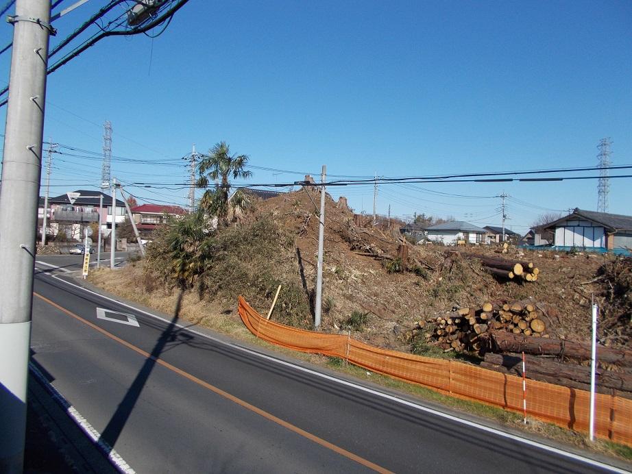 Local photos, including front road. Local (12 May 2013) Shooting