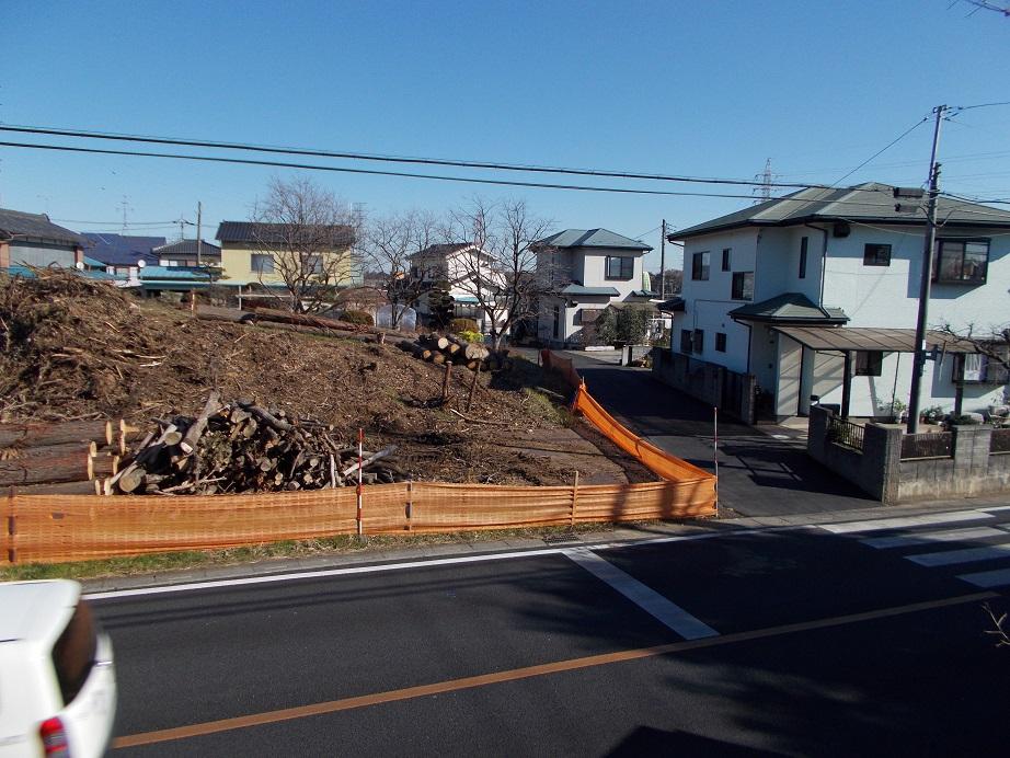 Local photos, including front road. Local (12 May 2013) Shooting