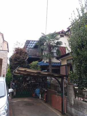 Local land photo. Local Photos