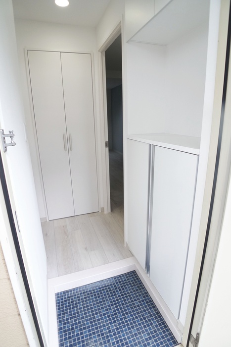 Entrance. First of all properties of face, Entrance!