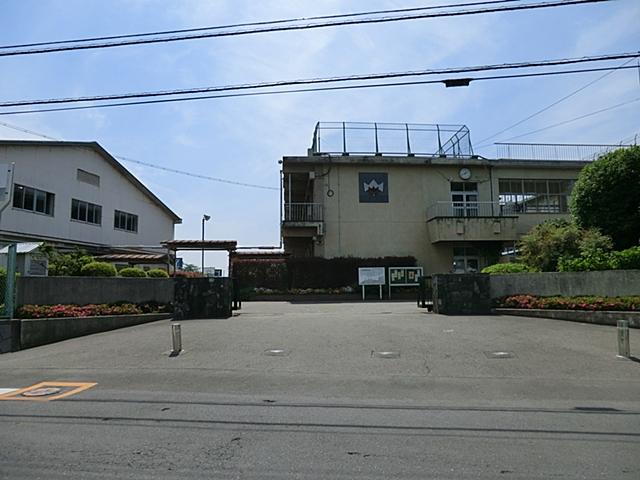 Junior high school. Sayama Tatsuhigashi until junior high school 1230m