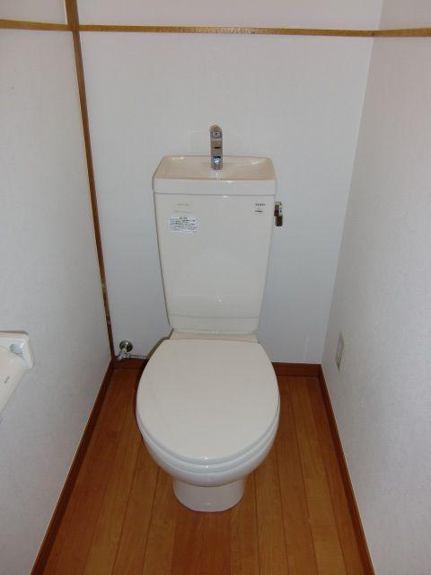 Toilet. Toilet