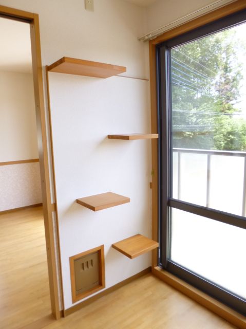 Living and room. Cat with a living for the cat