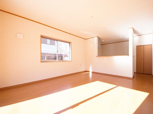 Living. Indoor (12 May 2013) Shooting