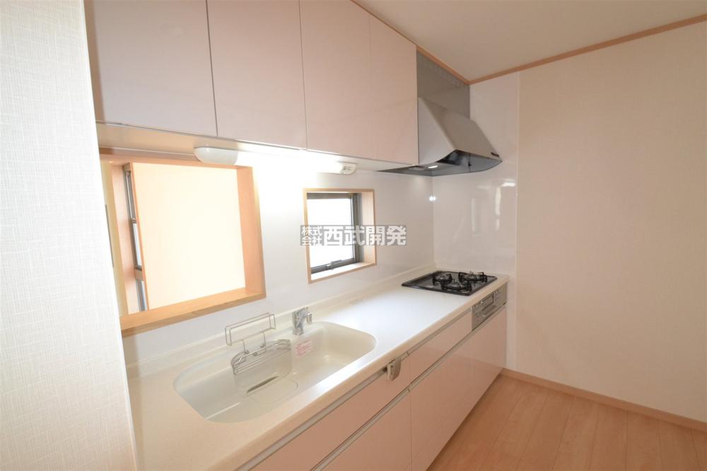 Kitchen. Indoor (10 May 2013) Shooting