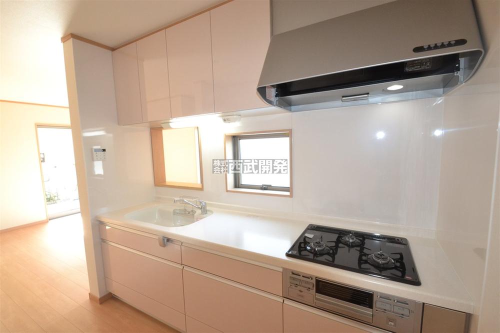 Kitchen. Indoor (10 May 2013) Shooting