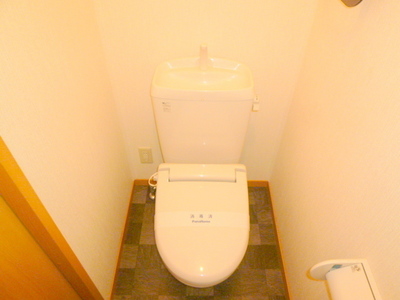 Toilet. Toilet