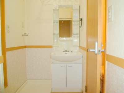 Washroom. Shampoo dresser