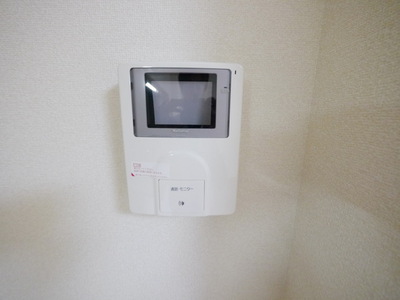 Security. TV Monitahon