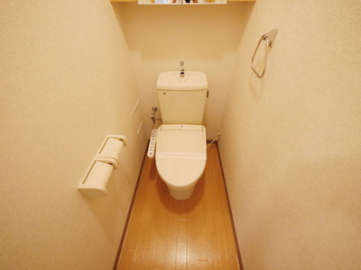 Toilet. Toilet