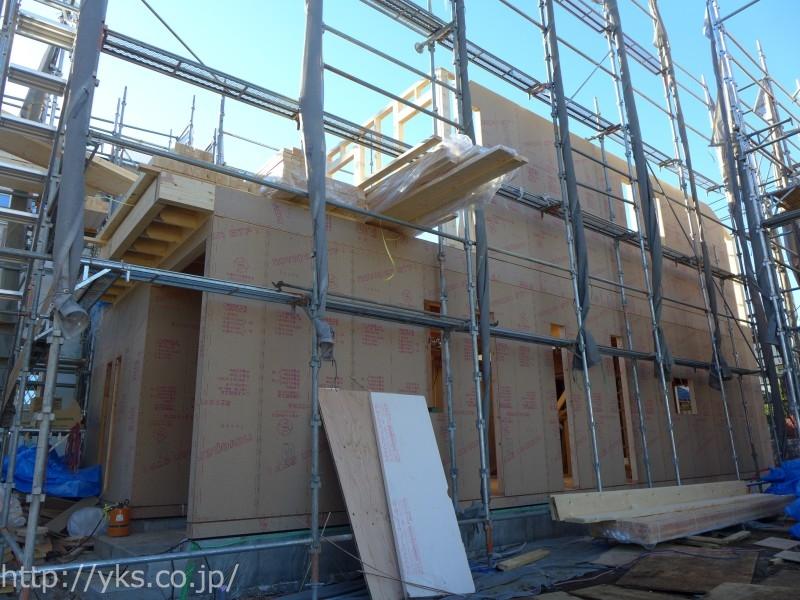 Other local. G site (December 22, 2013) Shooting