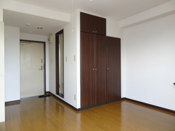 Living and room. Living