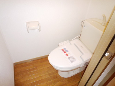 Toilet. Pre-disinfection!