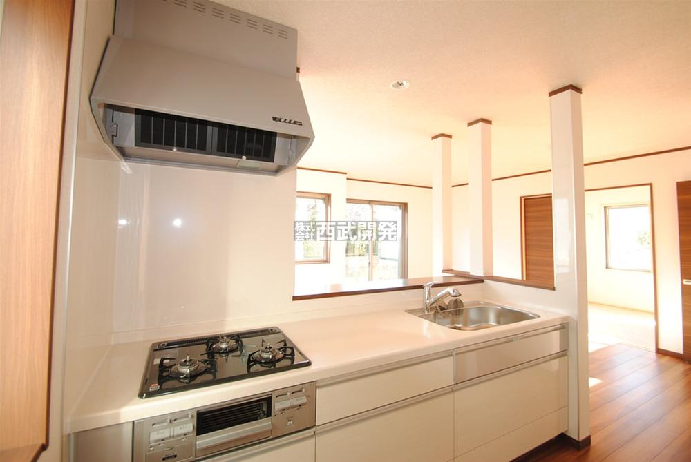 Kitchen. Indoor (12 May 2013) Shooting