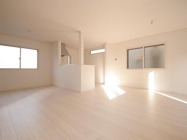 Living. Indoor (12 May 2013) Shooting