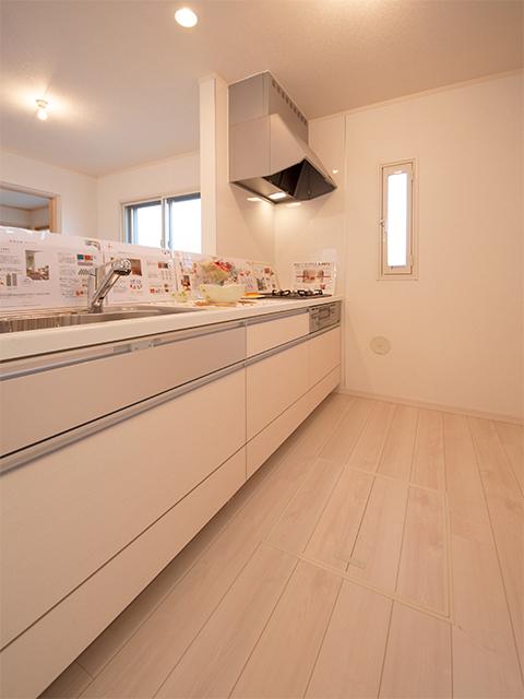 Kitchen. Indoor (12 May 2013) Shooting