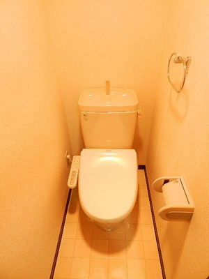 Toilet. Bidet