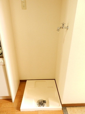 Other. Washing machine in the room