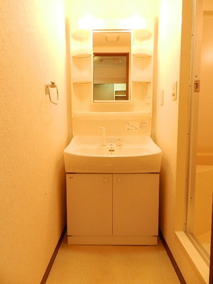 Washroom. Shampoo dresser