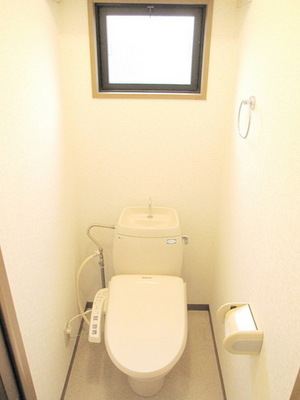 Toilet. Bright toilet