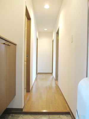 Entrance. It is the entrance hall