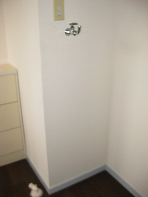 Other room space. Laundry Area