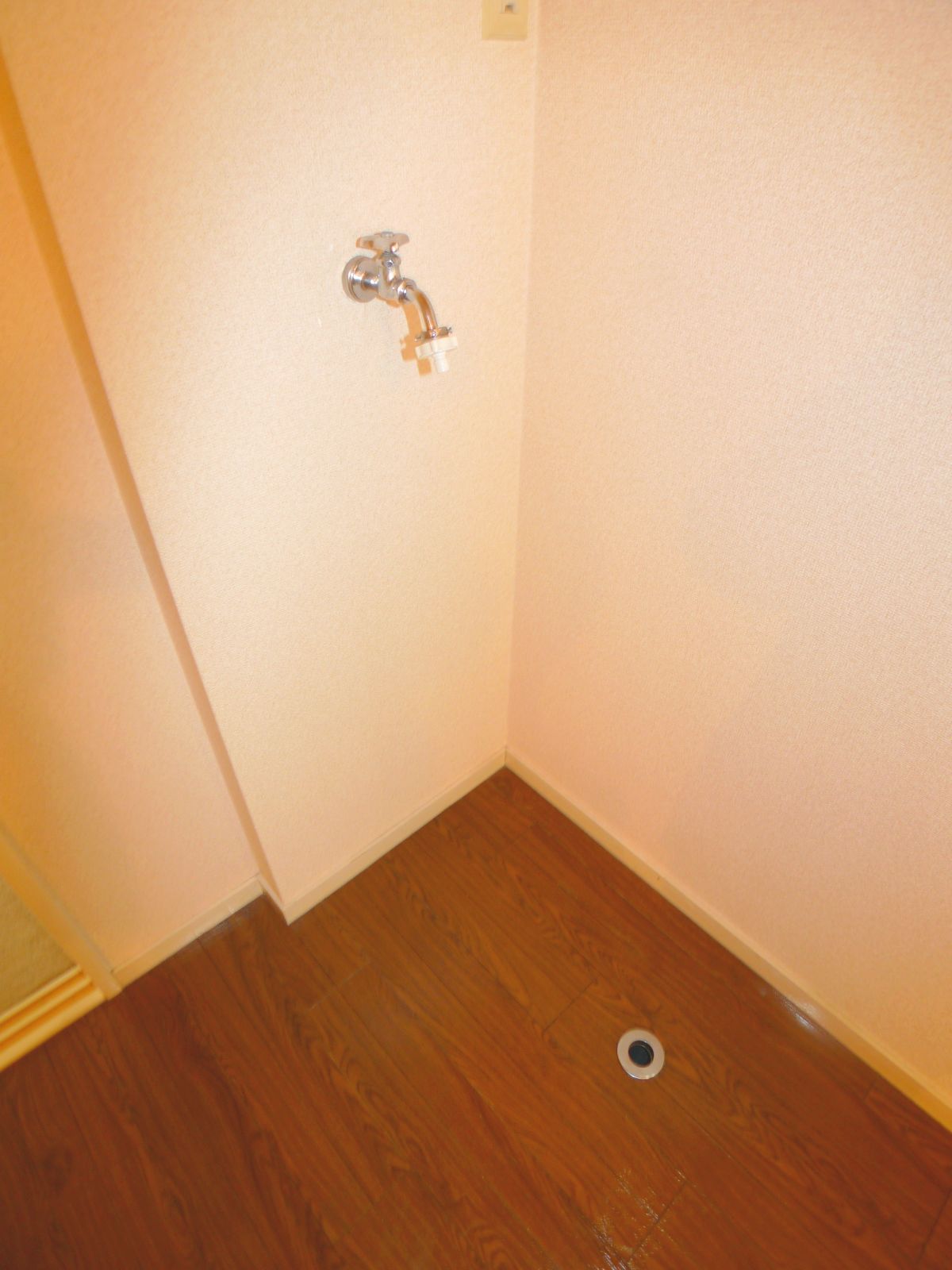 Washroom. Washing machine in the room