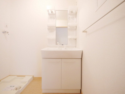 Washroom. Shampoo dresser