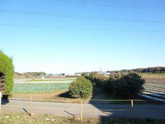 Local land photo. Local Photos