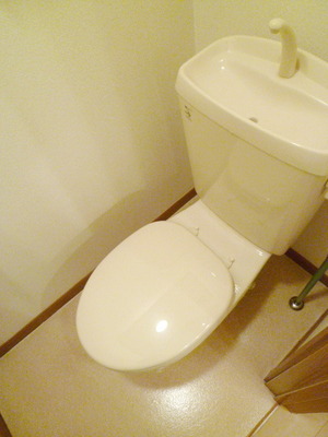 Toilet. Toilet