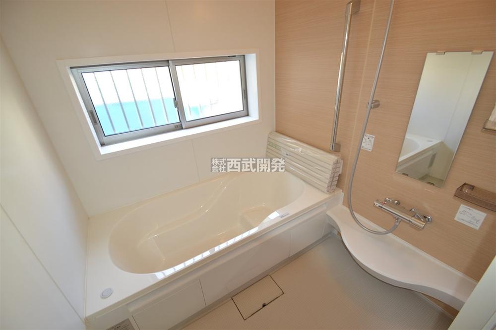 Bathroom. Indoor (10 May 2013) Shooting