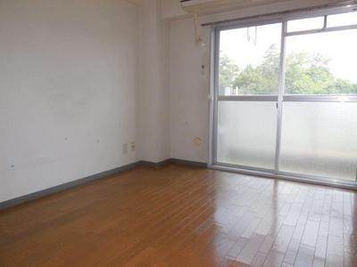 Living and room. Day is good.