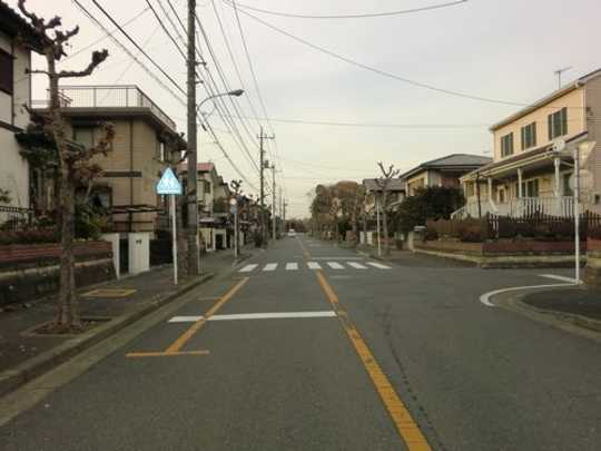 Local land photo. Front road (1)