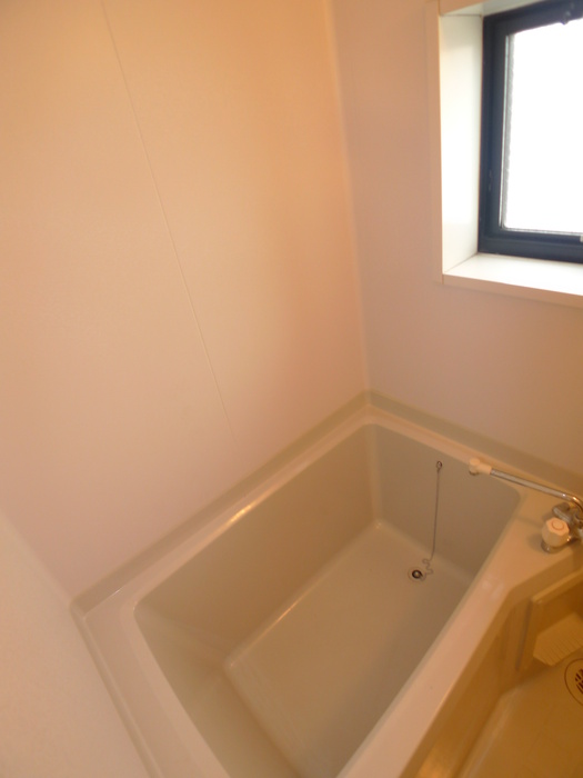 Bath. Window with bus