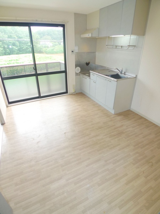 Kitchen. Spacious dining