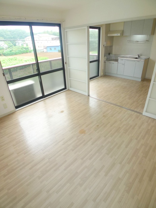 Living and room. Bright living room