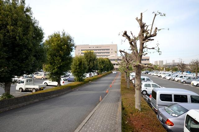 Government office. Sayama 890m to City Hall