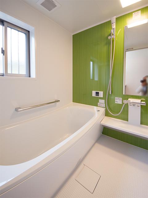 Bathroom. Indoor (10 May 2013) Shooting