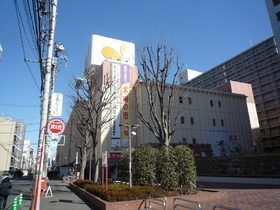 Supermarket. Daiei, Inc. Shiki store up to (super) 329m