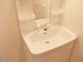 Washroom. Shampoo is vanity