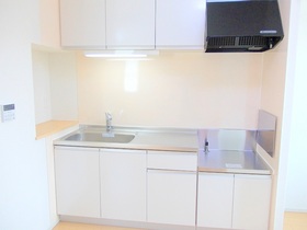 Kitchen. Spacious is easy kitchen cooking