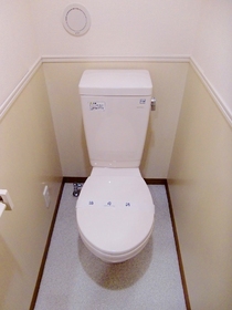 Toilet. A clean toilet.