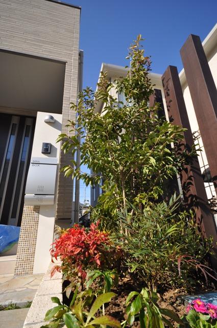 Other local. The color of the implantation of the approach, It gives a new look to the house. Cute also planted the flowers of the four seasons. 