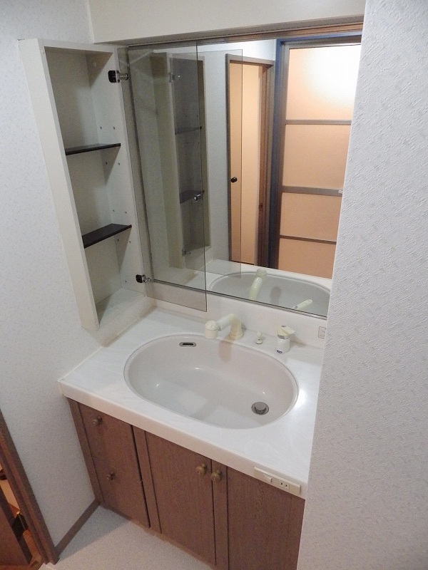 Washroom. With hand shower