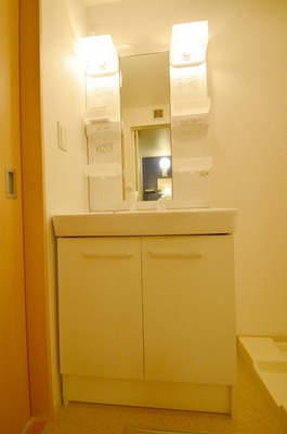 Washroom. Shampoo dresser